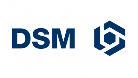 Werken bij DSM