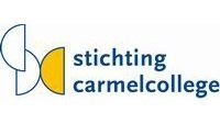 logo carmelklein.JPG