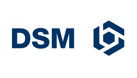 Logo DSM_0.jpg.png